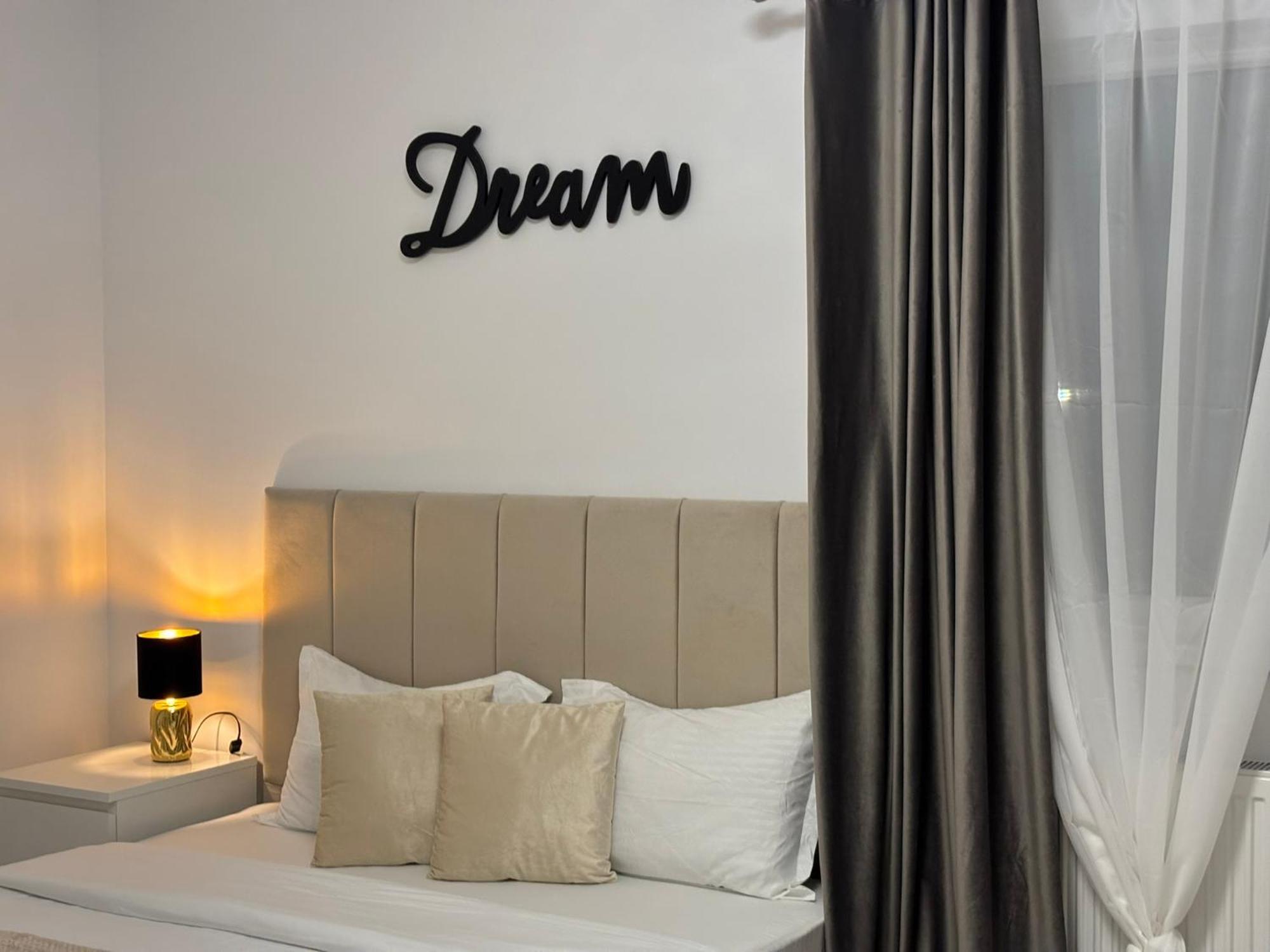 Dream - Large Apartament With Freeparking In A Quietarea Just 10 Minutes Away From City Center Bistriţa Buitenkant foto