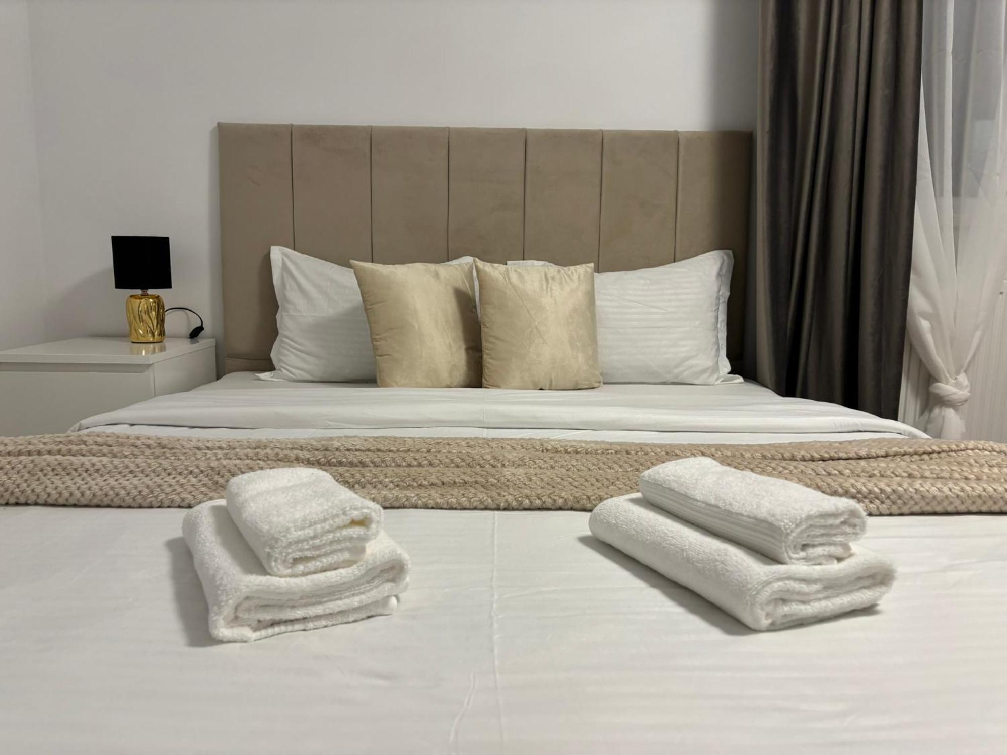 Dream - Large Apartament With Freeparking In A Quietarea Just 10 Minutes Away From City Center Bistriţa Buitenkant foto